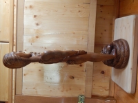 DSCN7228.JPG